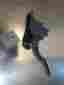 234.ch2s10 04861714ab Challenge 2010 Challenger Electric Gas Pedal 367663