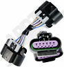 104224 Apdty Wiring Harness Connector For Accelerator Pedal Position 411000070335