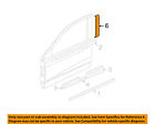 5gn13ca1aa Mopar Dodge Chrysler Oem 98-03 Dakota Front Door-pillar Tape