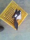 234.da1j02 Altima 2002 Accelerator Parts 136102