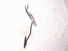 1675 Clutch Prices Forester Pedal Brake 01