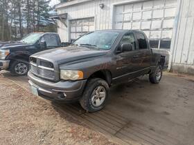 546.ch8503 Dodge Truck Ram1500 2003 Pedal Brake/clutch 182293
