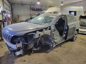 234.fd8c02 Ford Truck Escape 2002 Accelerator Parts 2080435
