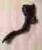 Gk2a41600 Mazda 6 Gas Pedal Accelerator 03 04 05 06 07 08