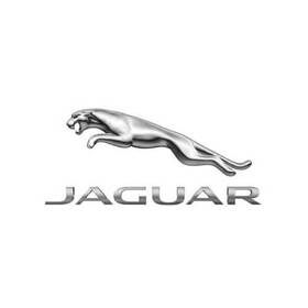C2s25598 Jaguar Genuine Pedal Travel Sensor