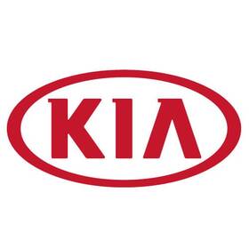 59711-3m000 Kia Genuine Pad Pedal