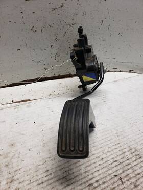 234.da1e09 Nissan Rogue 2009 Accelerator Parts 1343983