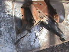 Prices F250 Custom 1978 Arizona Ford Assembly Parking F150 Brake F350