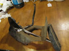 Sunfire Astre 1 1977 Pedal Body Prices Throttle Vega