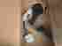 Vo21927551 21927551 Volvo Vnl Throttle Position Sensor Accelerator Pedal W Wiring Harness 20807057