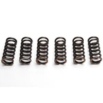 Ebc Clutch Spring Set (6 Pcs) Gasgas Ec 125 2000 - 2008. Fixed Price $24.92.