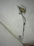 1981-87 Chevrolet/gmc Truck 2X4 Front Hard Brake Line Set Oem C-30 (used). Fixed Price $75.00.