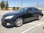 Pedal, Brake/clutch Oem 2010 Lexus ES350 7811033110. Fixed Price $90.00.