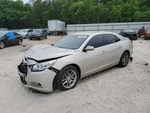 Gas Pedal - Malibu 2015 Accelerator Parts 1054999. Fixed Price $74.90.