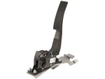 For 2010-2020 Chevrolet Express 2500 Accelerator Pedal Delco 97782WHCJ 2011. Fixed Price $136.13.