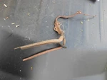 1968 1969 Ford Fairlane Torino Gas Throttle Accelerator Pedal Linkage Auto Trans. Fixed Price $99.99.