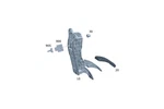 Genuine Mercedes-benz Accelerator Pedal 164-300-00-04-64. Fixed Price $231.24.