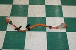 16-19 1.5L Hybrid Engine High Voltage Cable Battery Positive Negative Oem. Fixed Price $115.99.