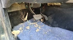 1997 Suzuki Sidekick Complete Brake And Gas Pedal Assembly Oem. Fixed Price $270.68.