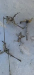 Accelerator Throttle Linkage W116 Mercedes 300SD 450SEL 350SEL 280SE. Fixed Price $149.95.