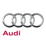 Genuine Audi Cap 6X0-721-173-A-01C. Fixed Price $13.03.