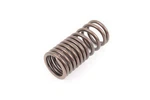 Genuine Bmw Mini M3 M6 X1 X3 X5 Z4 Roadster Z8 Compression Spring 35311165566. Fixed Price $30.98.
