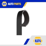 6 Rib Multi Drive Belt Fits Kia Gates 2521204551 252122E020 252122E820 Quality. Fixed Price $22.17.