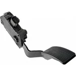 Ford F-250/F-350 Super Duty 2005 2006 2007 Accelerator Pedal Gray Bolt-on. Fixed Price $224.02.