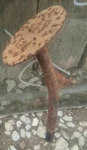 1938 Studebaker Commander Gas Accelerator Pedal. Fixed Price $59.95.