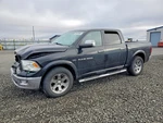 Pedal, Brake/clutch Oem 2012 Dodge RAM1500 53034160AC. Fixed Price $147.00.