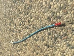 Bmw E39 M5 Ac Air Vent Hot Cold Cable 530I 525I 540IT 523I 528IT. Fixed Price $29.00.