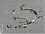 2011-2015 Chevrolet Volt Rear Bumper Wiring Harness W/ Parking Sensors Oem. Fixed Price $96.00.